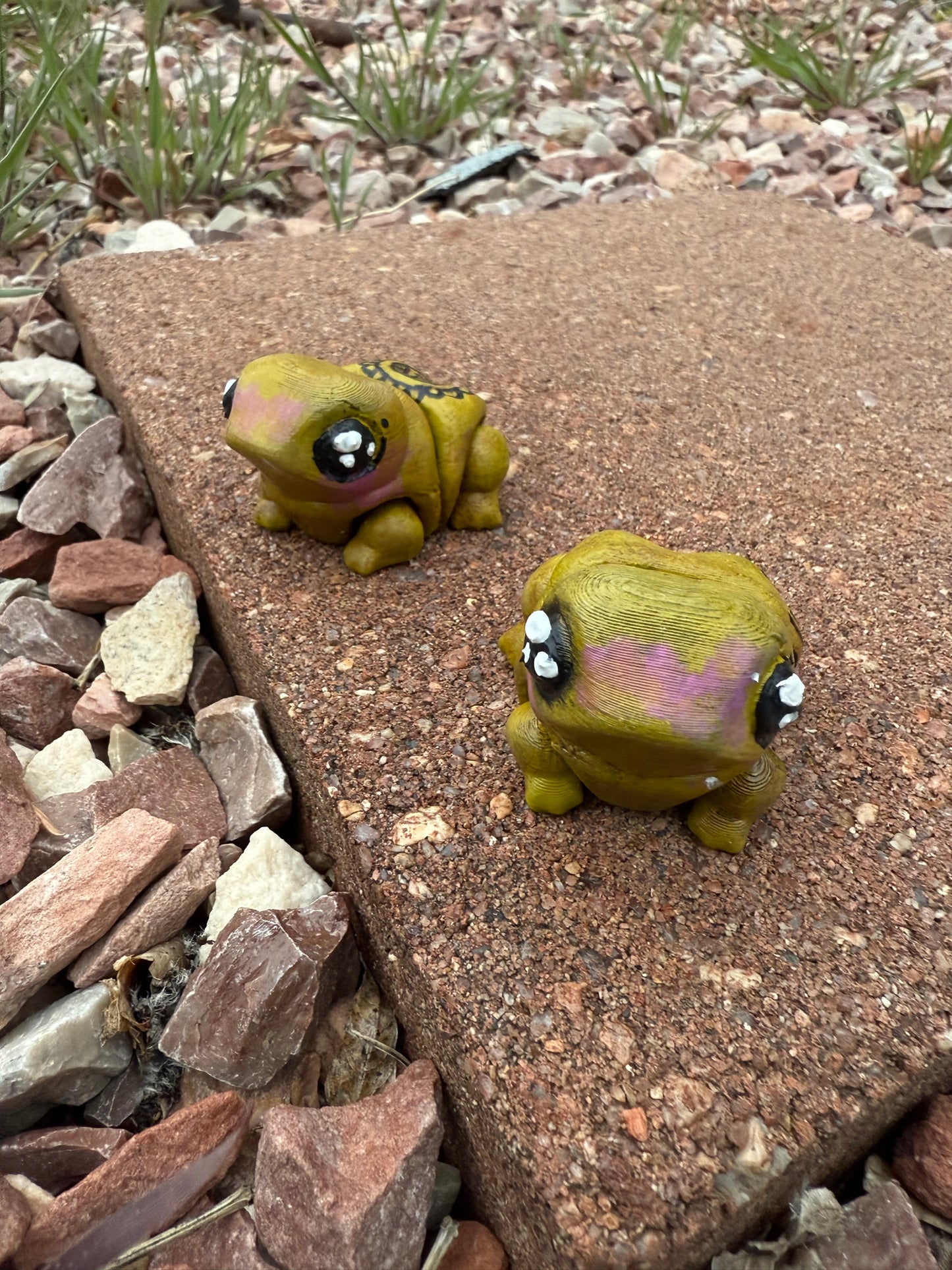 Coqui Frog πΈβ¨π΅π·