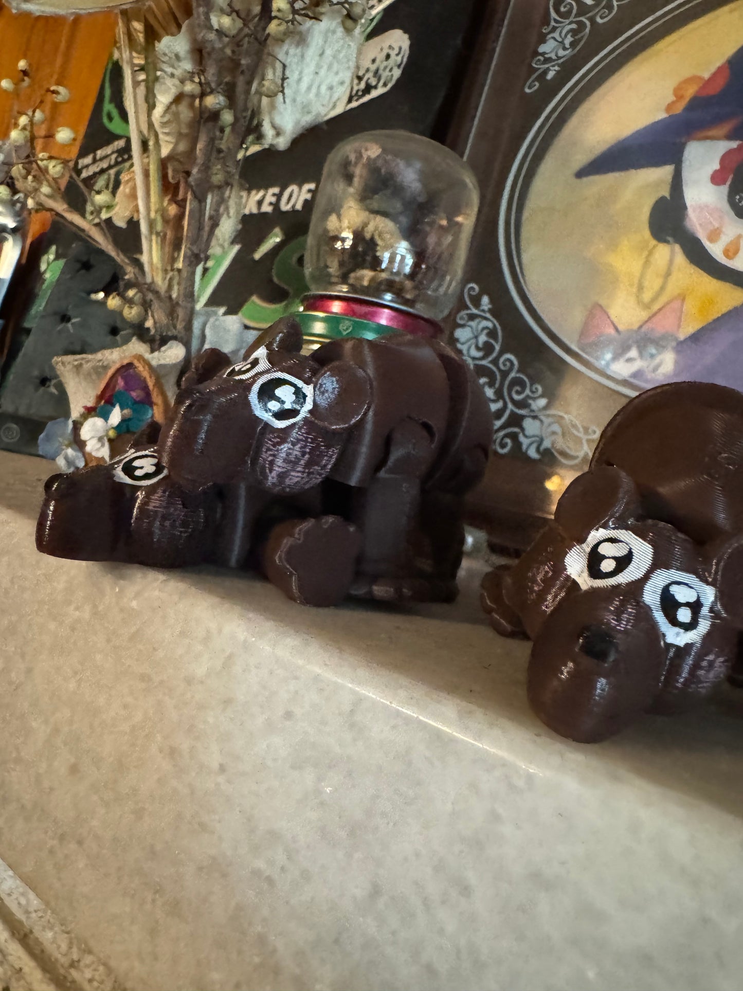 Bears
