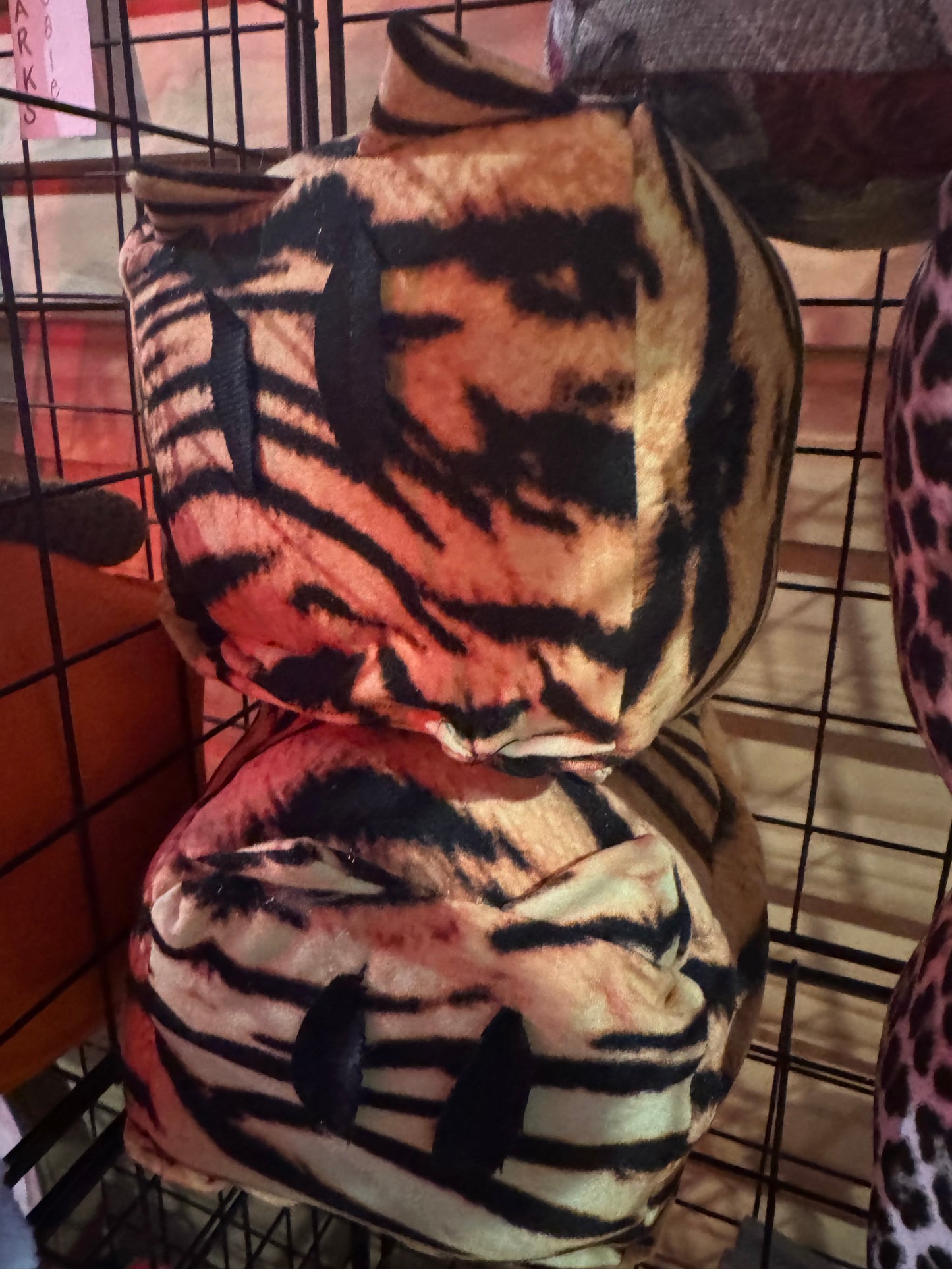 Tiggy 🐯