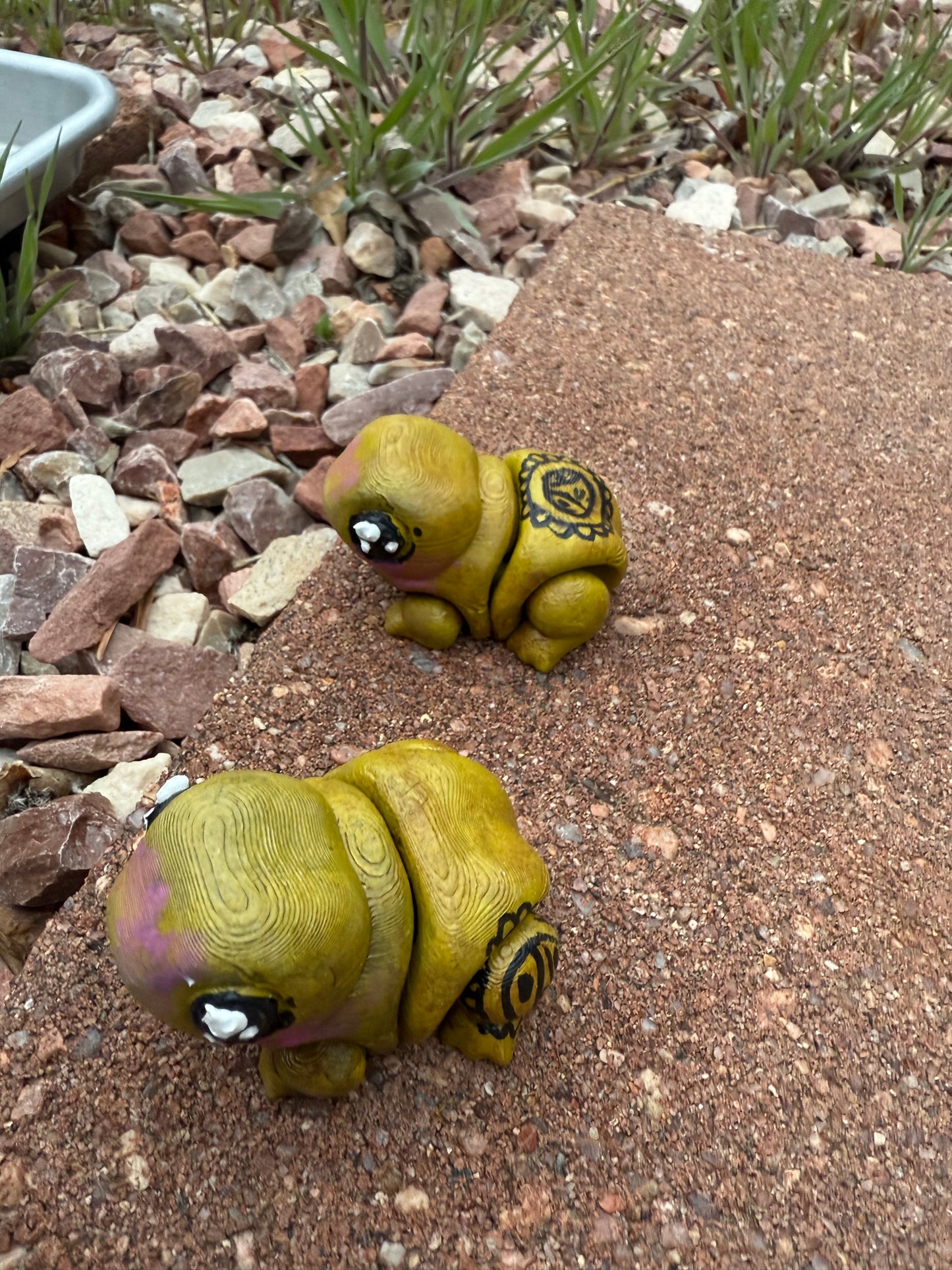 Coqui Frog πΈβ¨π΅π·
