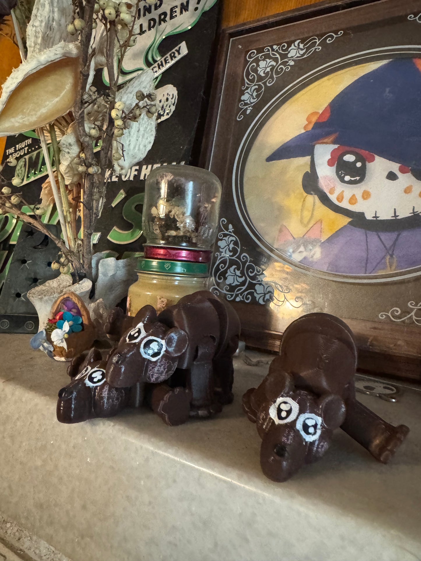 Bears