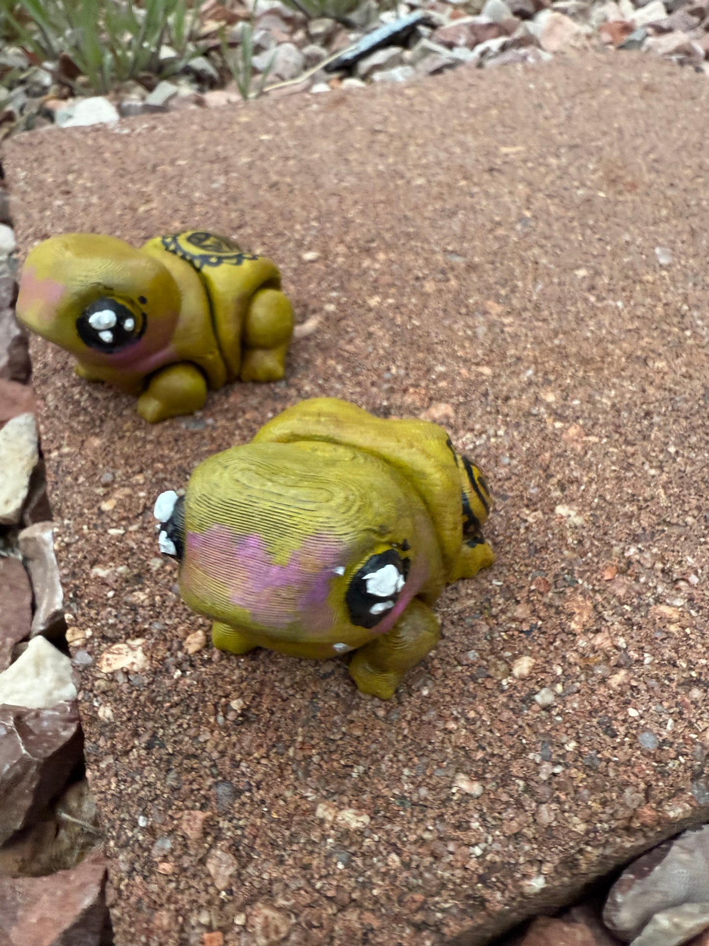 Coqui Frog πΈβ¨π΅π·
