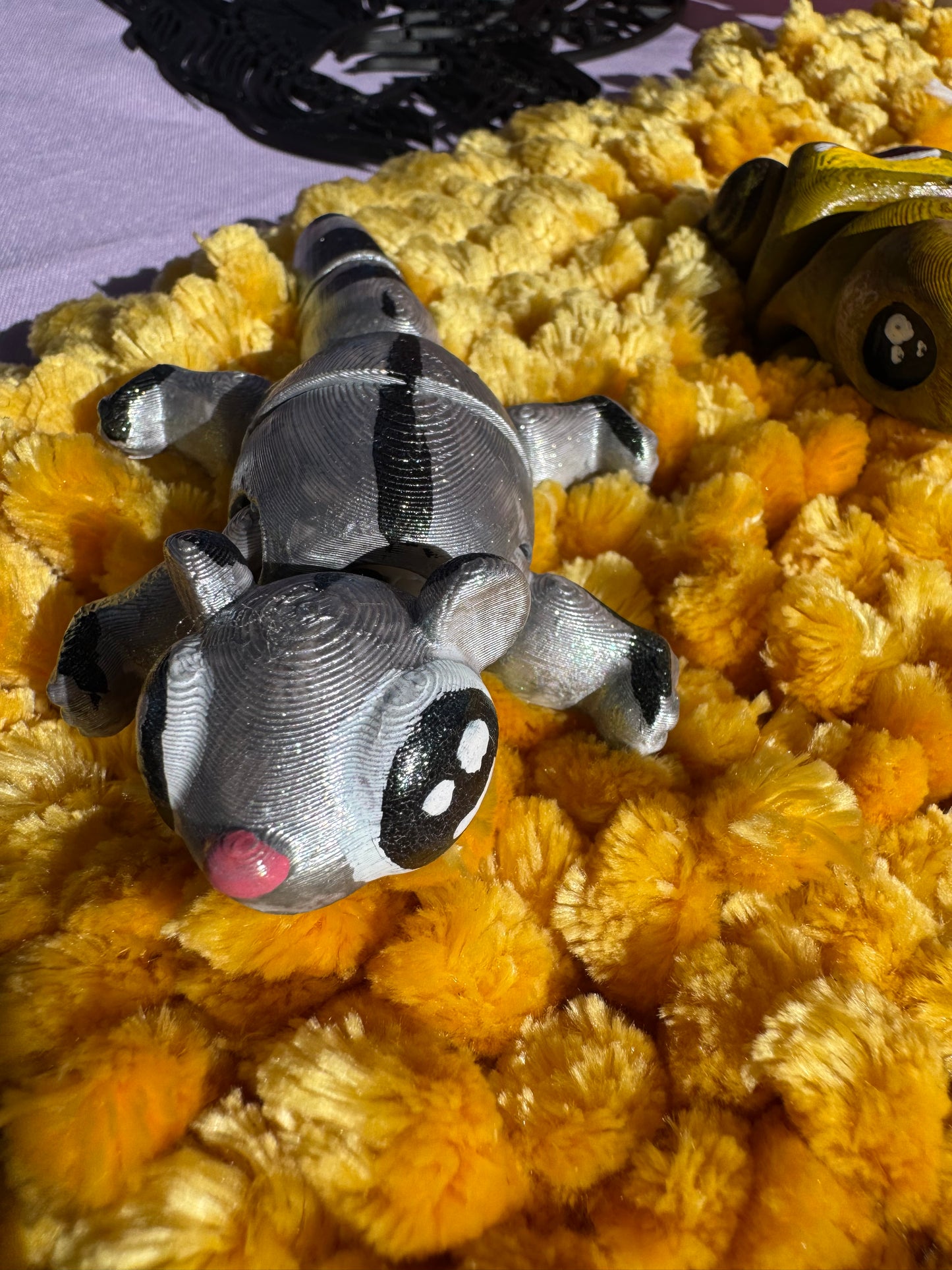 Sugar Gliders