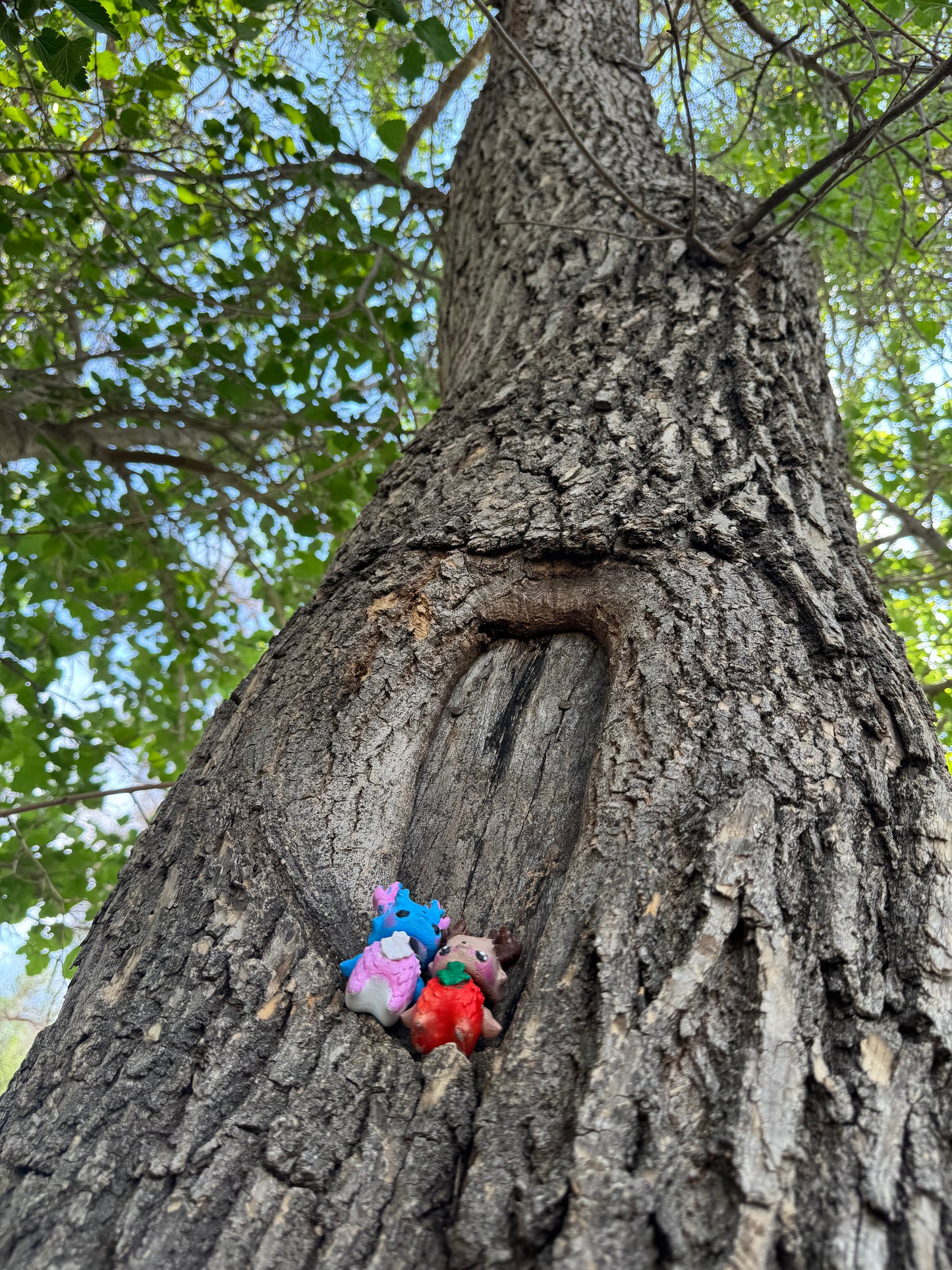 Tree Spirit 🧚✨