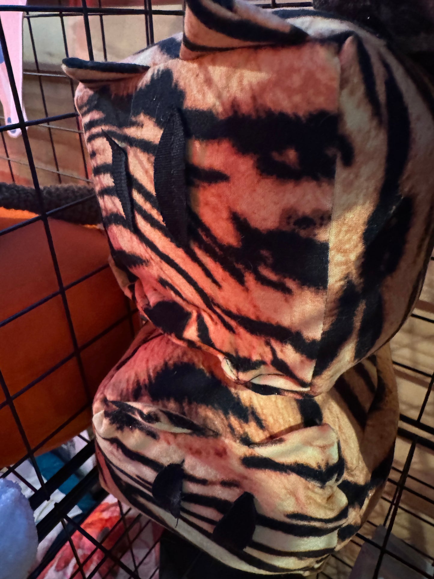 Tiggy 🐯