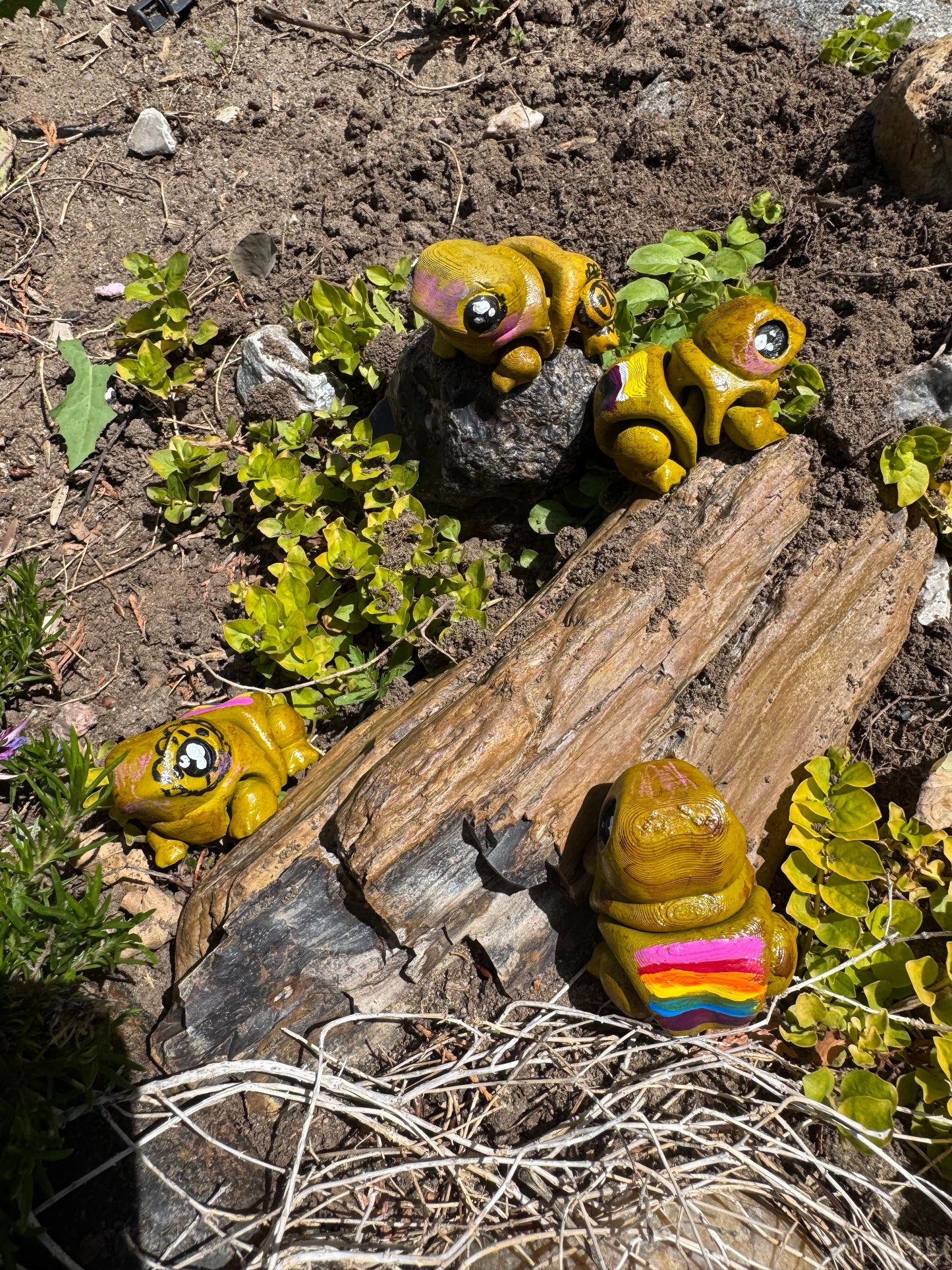 Coqui Frog πΈβ¨π΅π·