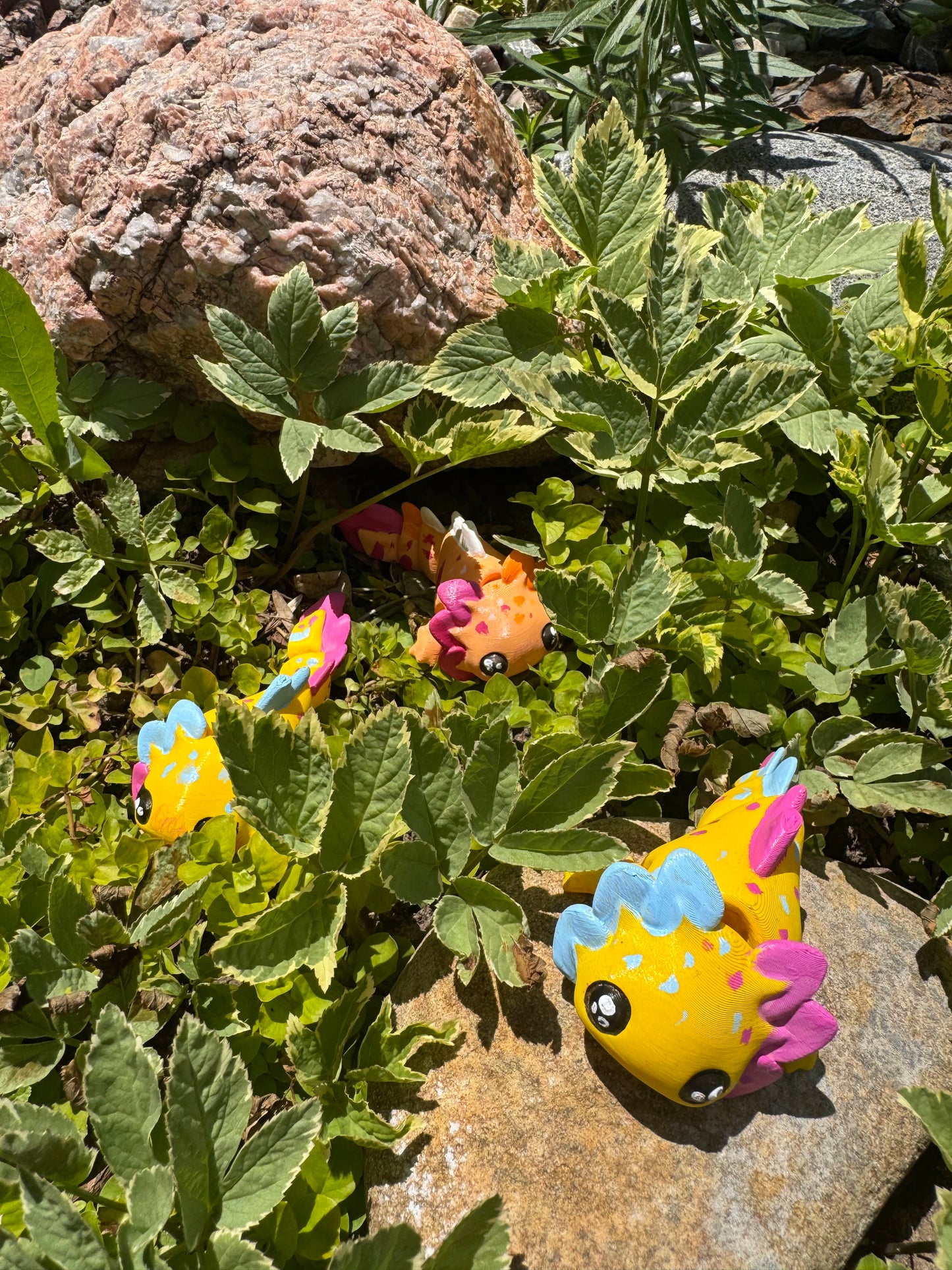 Axolotl 🫧