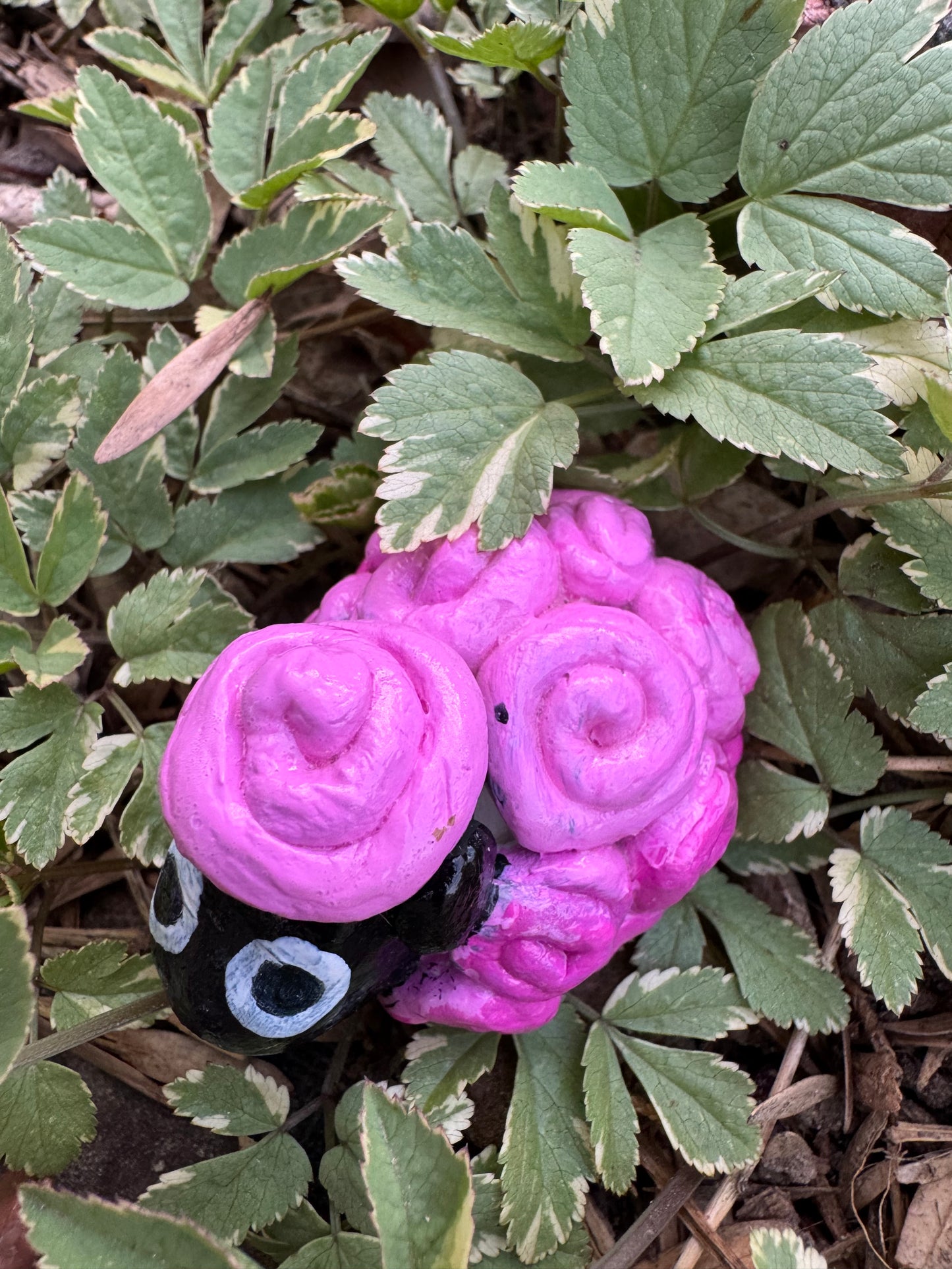 Clay Critters💫