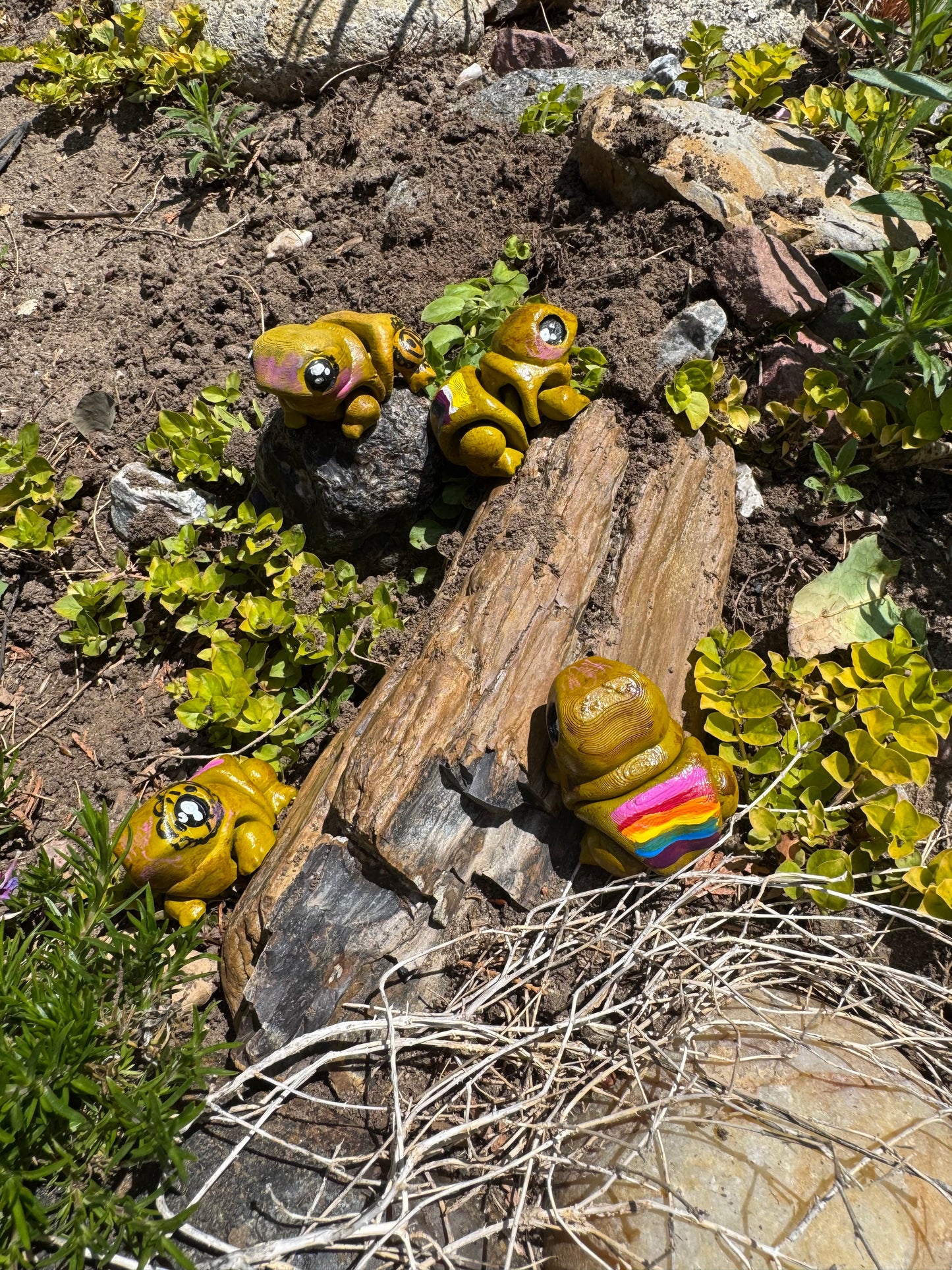 Coqui Frog πΈβ¨π΅π·