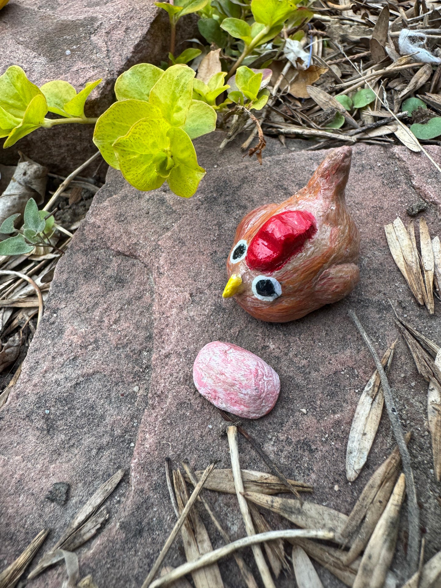 Clay Critters💫
