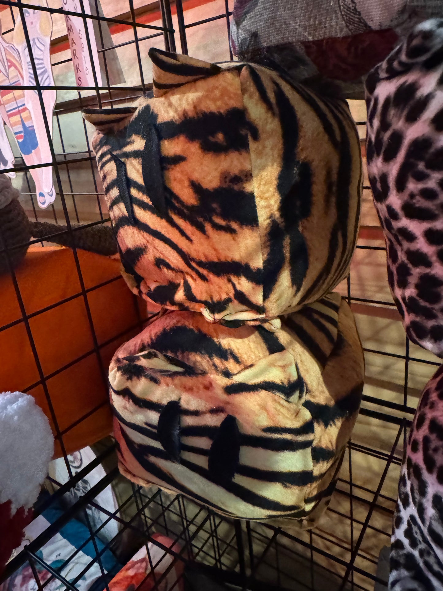 Tiggy 🐯