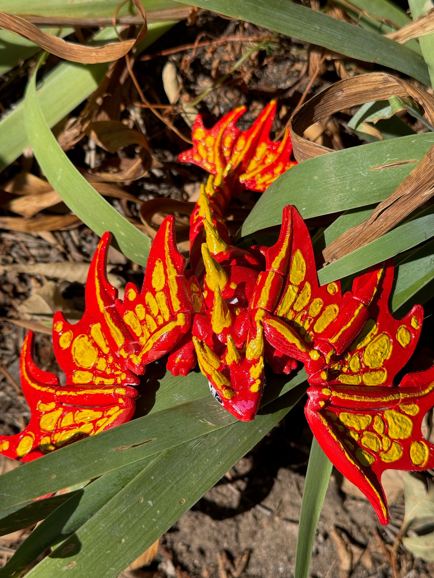 Monarch Dragon