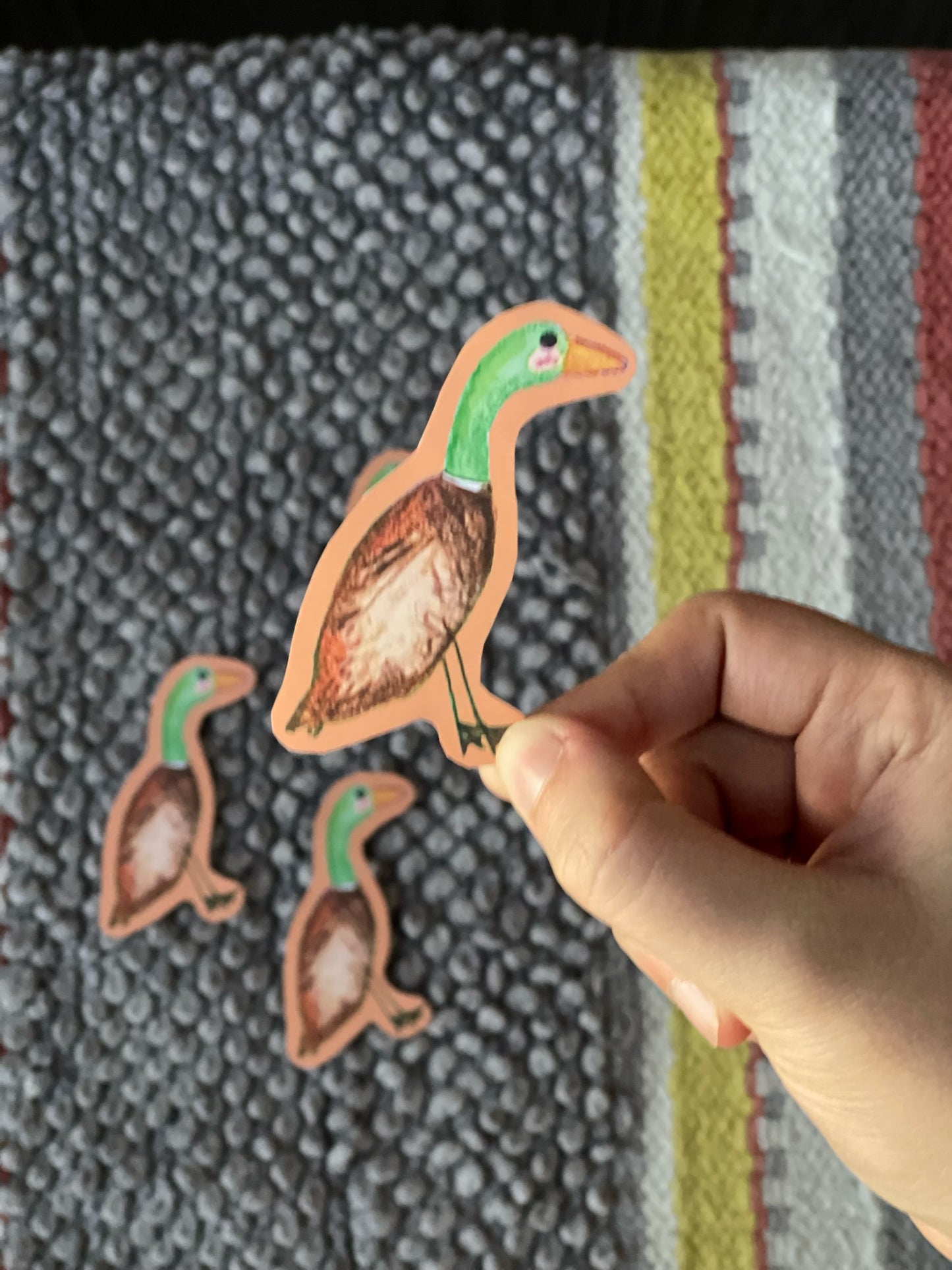 Mallard Ducky Sticker