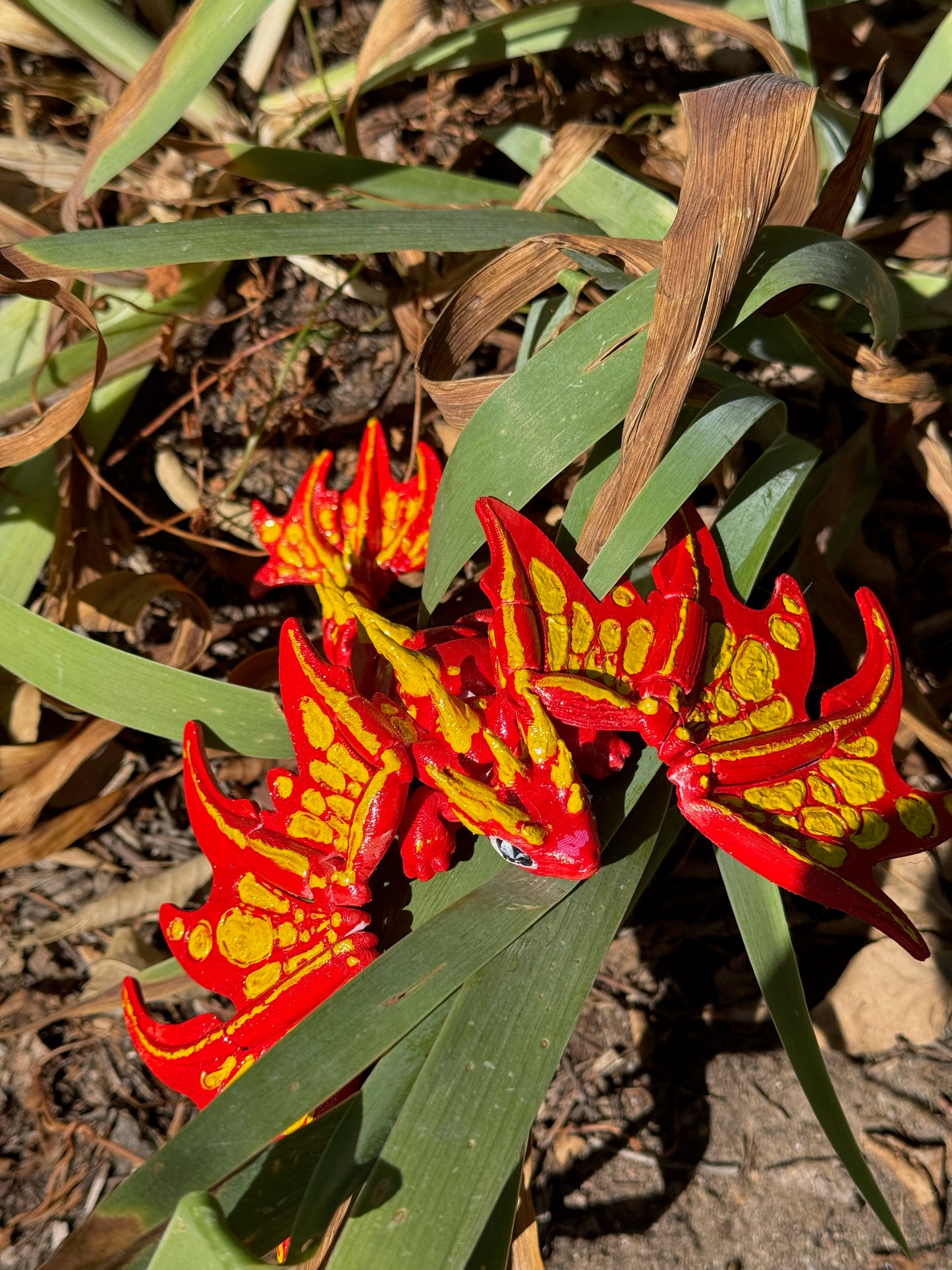 Monarch Dragon