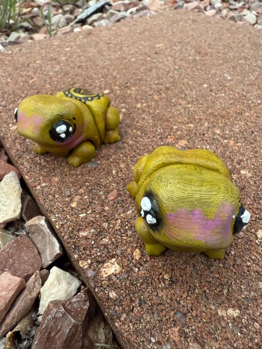 Coqui Frog 🐸✨🇵🇷