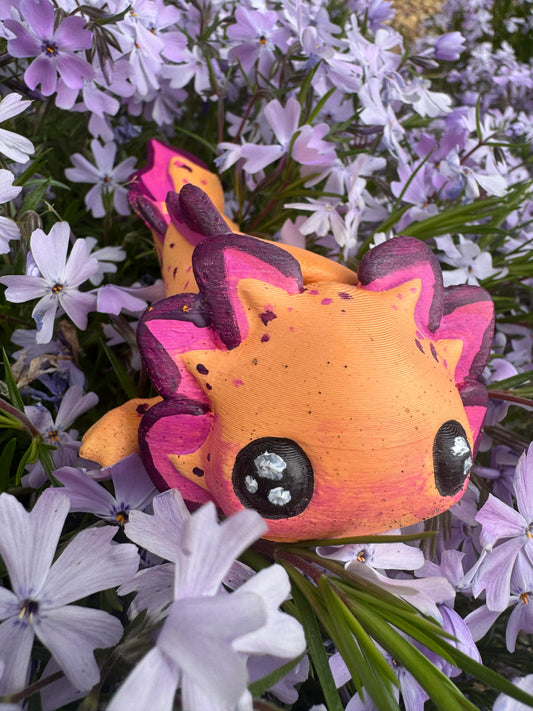 Axolotl 🫧