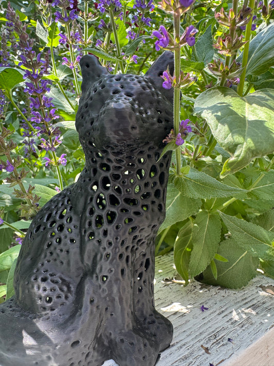 Artsy Fox