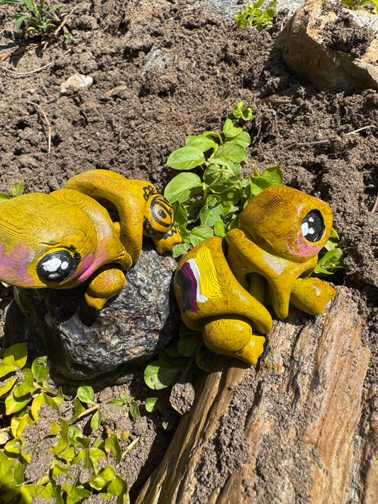 Coqui Frog 🐸✨🇵🇷