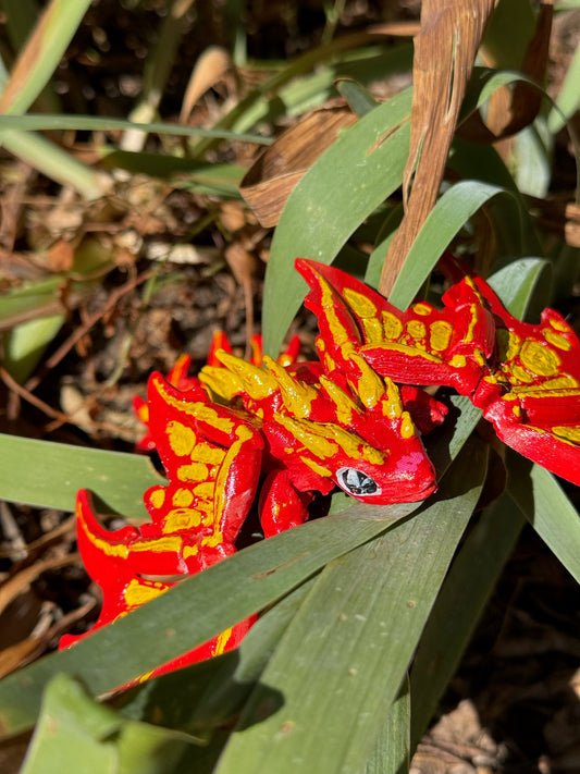 Monarch Dragon