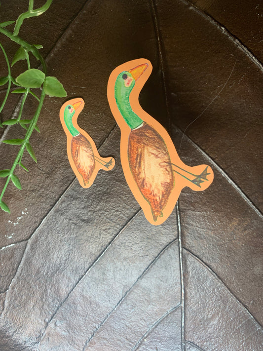 Mallard Ducky Sticker